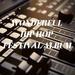 Wonderful Hip Hop Festival Album