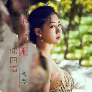 不爱不是你的错