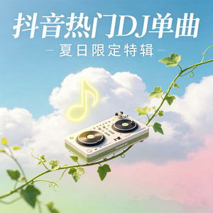 雨过后的风景 (DJ节奏版)封面