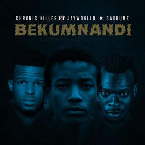 Bekumnandi (feat. Jayworlld & Sakhumzi)