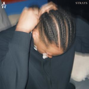 STRAYS (Explicit)