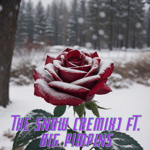 The Snow (Remix)