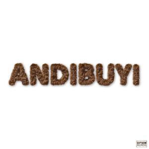 ANDIBUYI (feat. Bridgette SA & DJ Izzy)