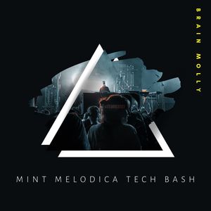 Mint Melodica Tech Bash (Original Mix)