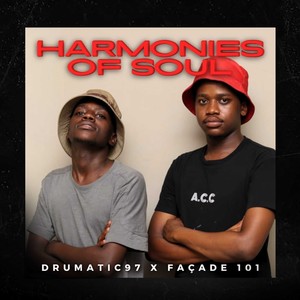 Harmonies of Soul (Explicit)