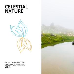 Celestial Nature - Music to Create a Blissful Ambience, Vol.3