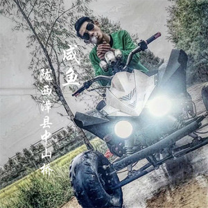 陇西漳县中山桥 (DJ版)