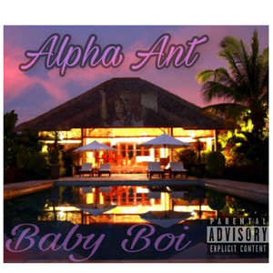 Baby Boi (Explicit)