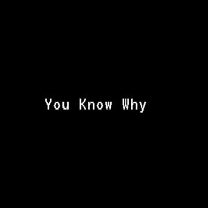 You Know Why (Explicit)