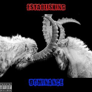 Establishing Dominance (Explicit)