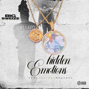 Hidden Emotions (Explicit)