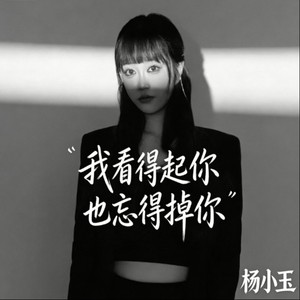 我看得起你也忘得掉你 (伴奏)