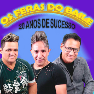 20 Anos de Sucessos (Ao Vivo)