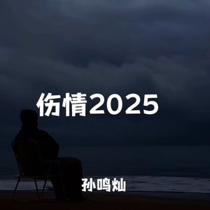 伤情2025 (痴情版)