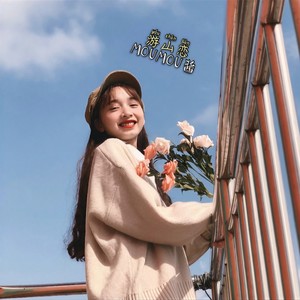 神威难藏泪入目皆是琳 (Remix)