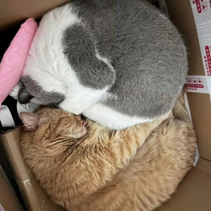 I MISS YOU（230308 摆烂版）