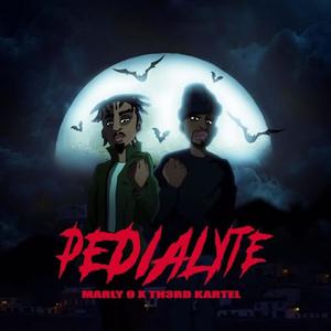 Pedialyte (feat. Tre Harris) [Explicit]