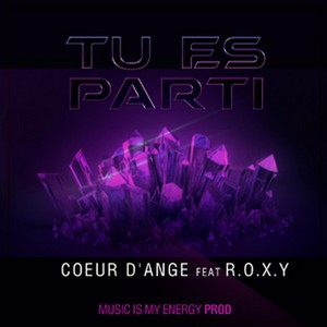 Tu Es Parti (feat. Roxy)