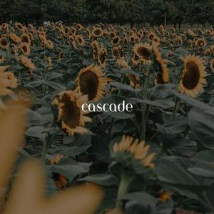 cascade