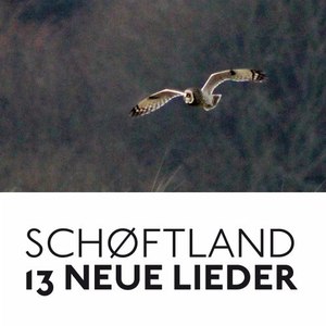 Ausgerechnet heute (Live)
