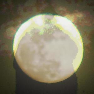 Your Five Shadows and the Stars