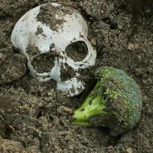 Broccoli (Lars & His Fabricated Friends Remix)