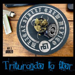 Triturando La Flor (feat. Arokem) (Explicit)