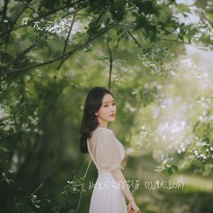 此生不渝的等待 (DJ默涵版)