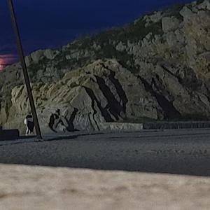 Grenzenlose Freundschaft