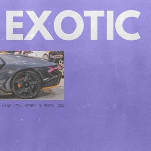 Exotic(feat. REBEL DON)