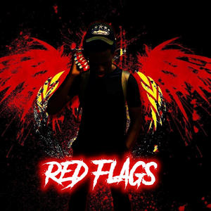 Red Flags (feat. Kandi bard) (Explicit)
