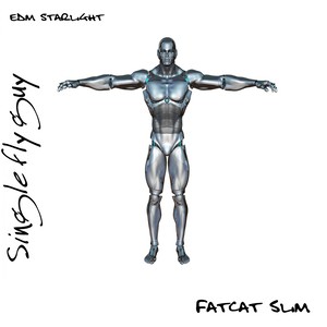 Single Fly Guy (Original Mix)