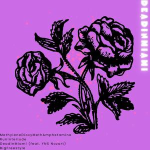 DeadInMiami (feat. YNS Nozart)