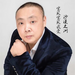 宝贝宝贝我爱你封面