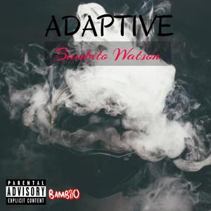 Adaptive (Explicit)