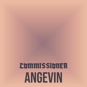 Commissioner Angevin