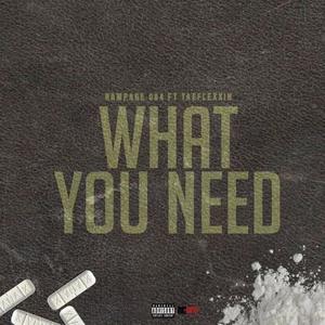 what you need (feat. tae Flexxin') (Explicit)