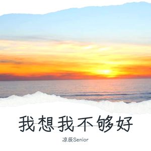 我想我不够好 (Live)