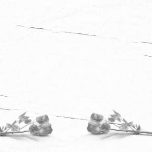 About You