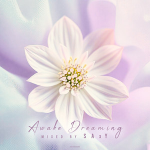 Awake Dreaming (Continuous Dj Mix)