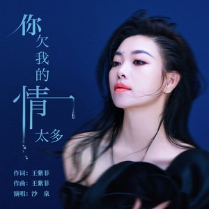 你欠我的情太多 (沙泉版)