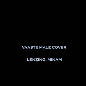 Vaaste (Male Cover)