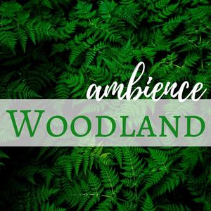 Woodland Ambience: Birdsong Relaxing Background Sounds