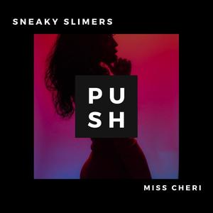 Push(feat. Lau & Dominique 13) (Explicit)