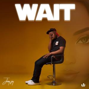 Wait (Explicit)