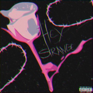 Hey Strange