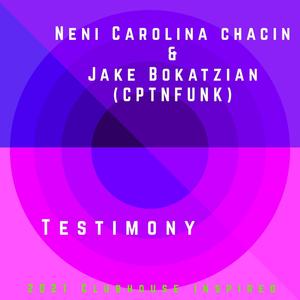 Testimony (feat. CptnFunk) (Remix)