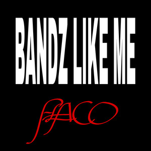 BANDZ LIKE ME