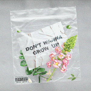 Don't Wanna Grow Up (Explicit)