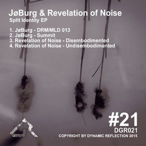 Disembodimented (Original Mix)